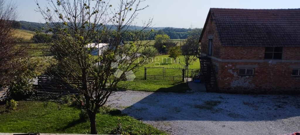 Image 13