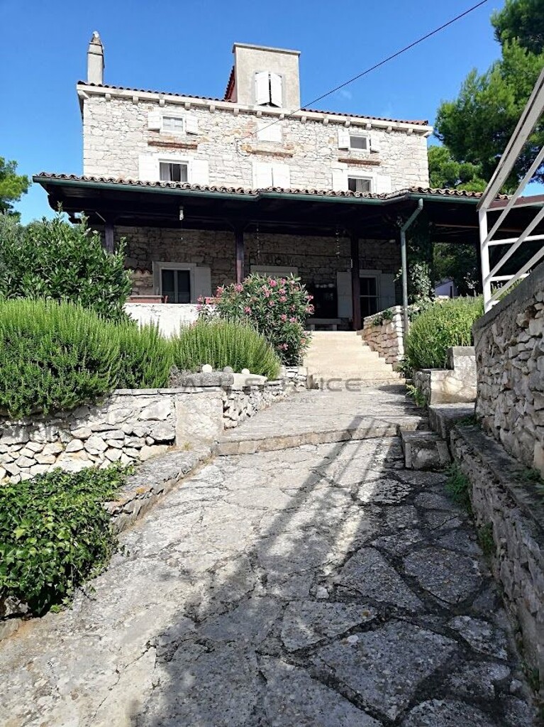 Image 12