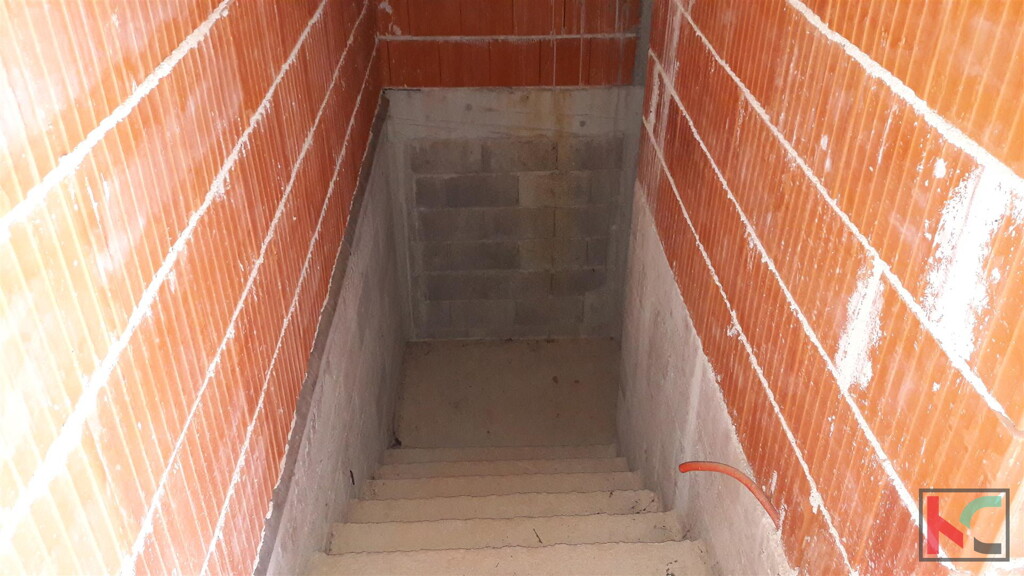 Image 22