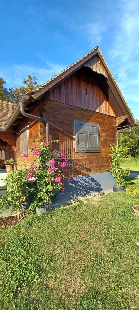 Image 21