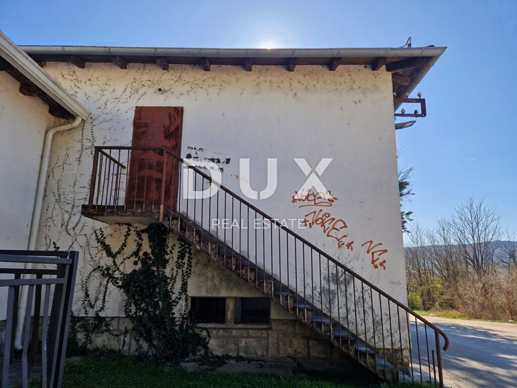 Image 13