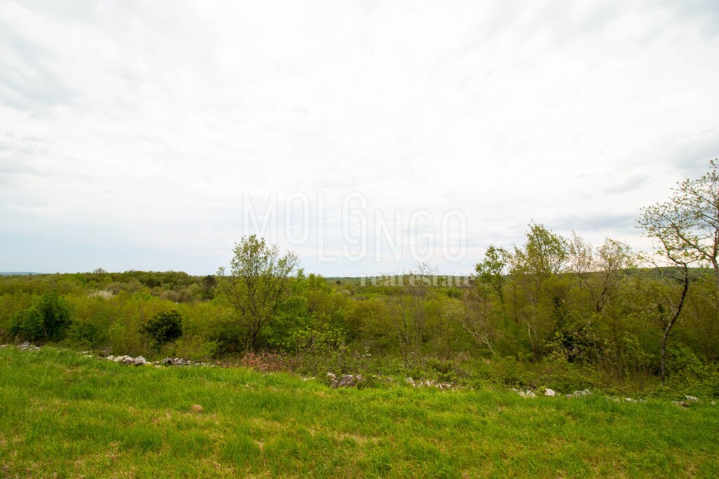 Image 15