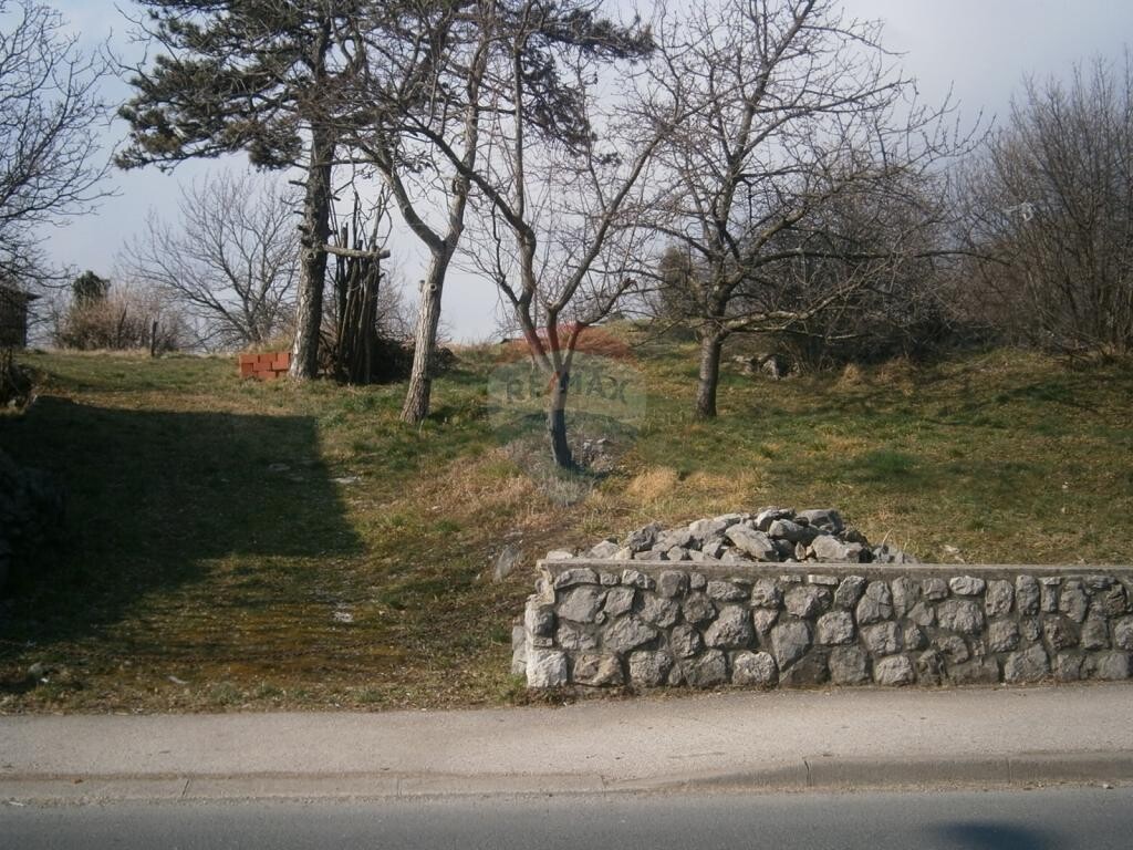 Image 5410913 - 2