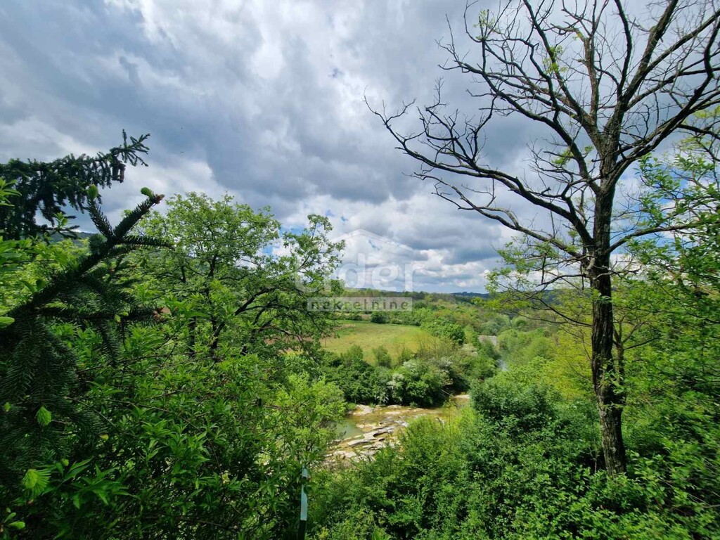 Image 22