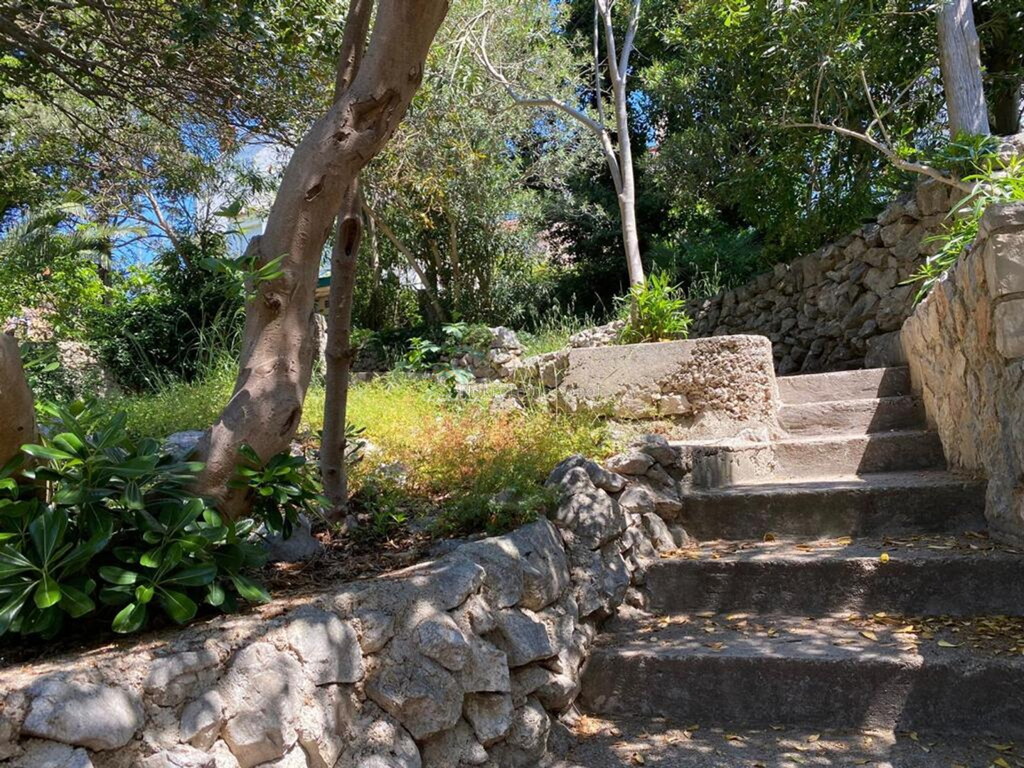 Image 13