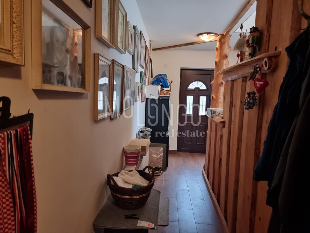 Image 13