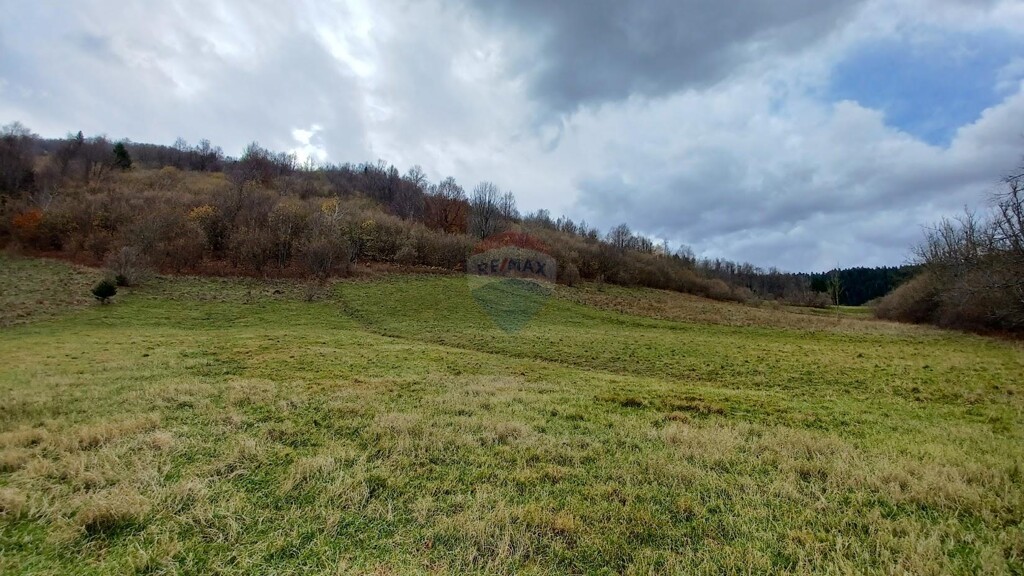 Image 5429027 - 3