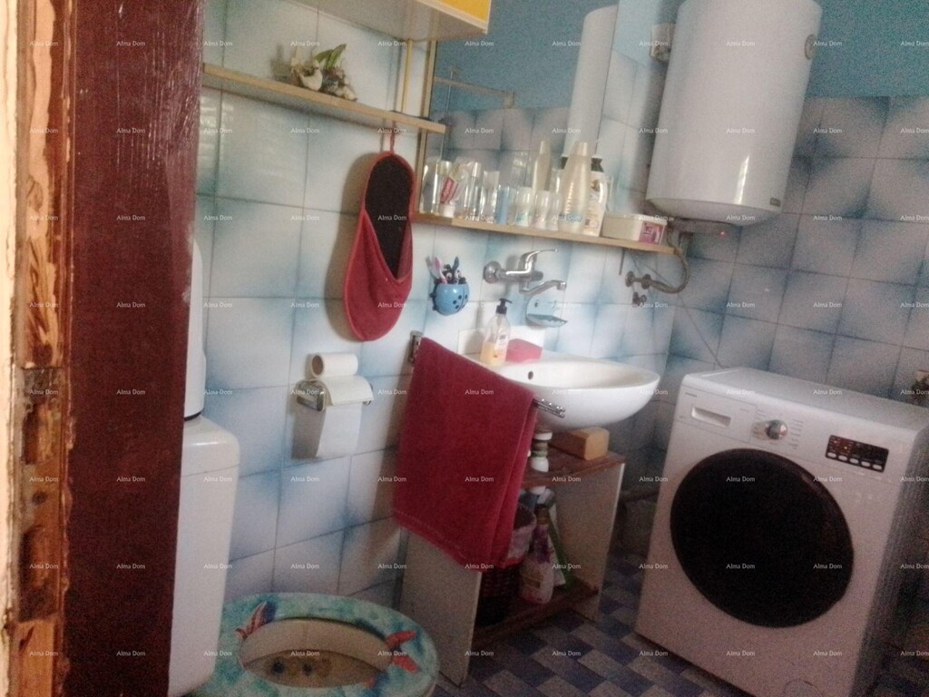 Image 6