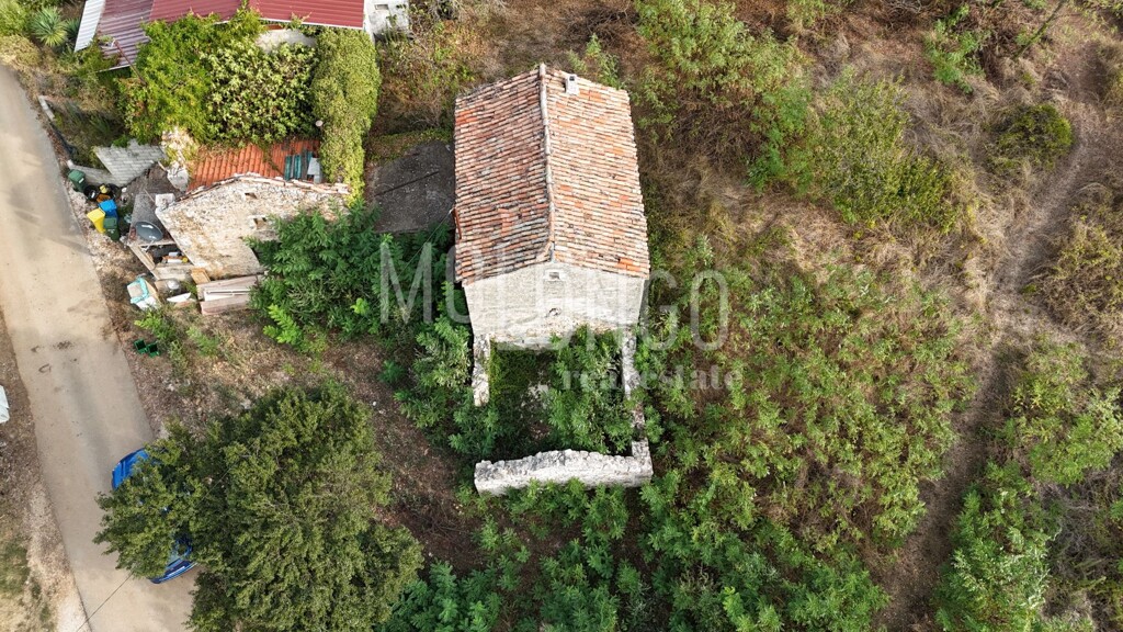 Image 6094516 - 3