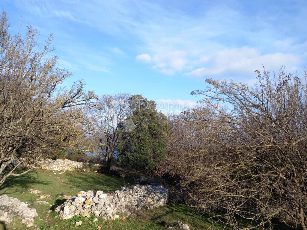 Image 16