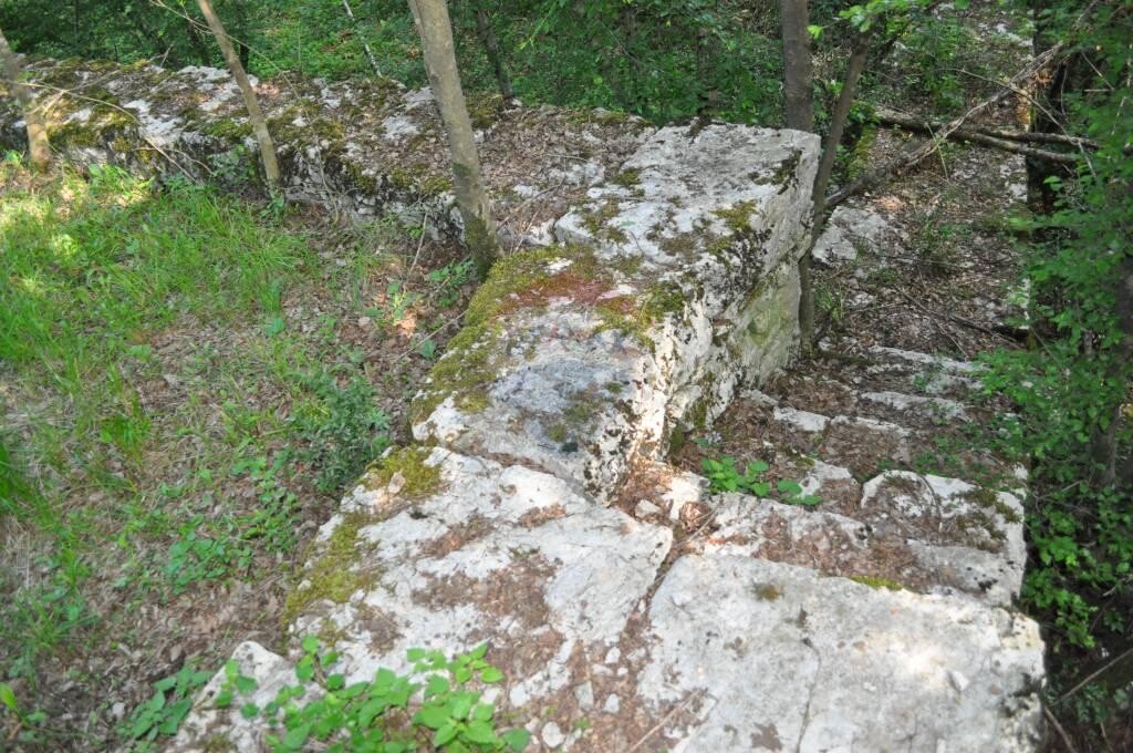 Image 5410521 - 4