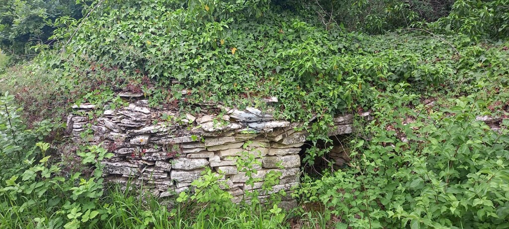 Image 14