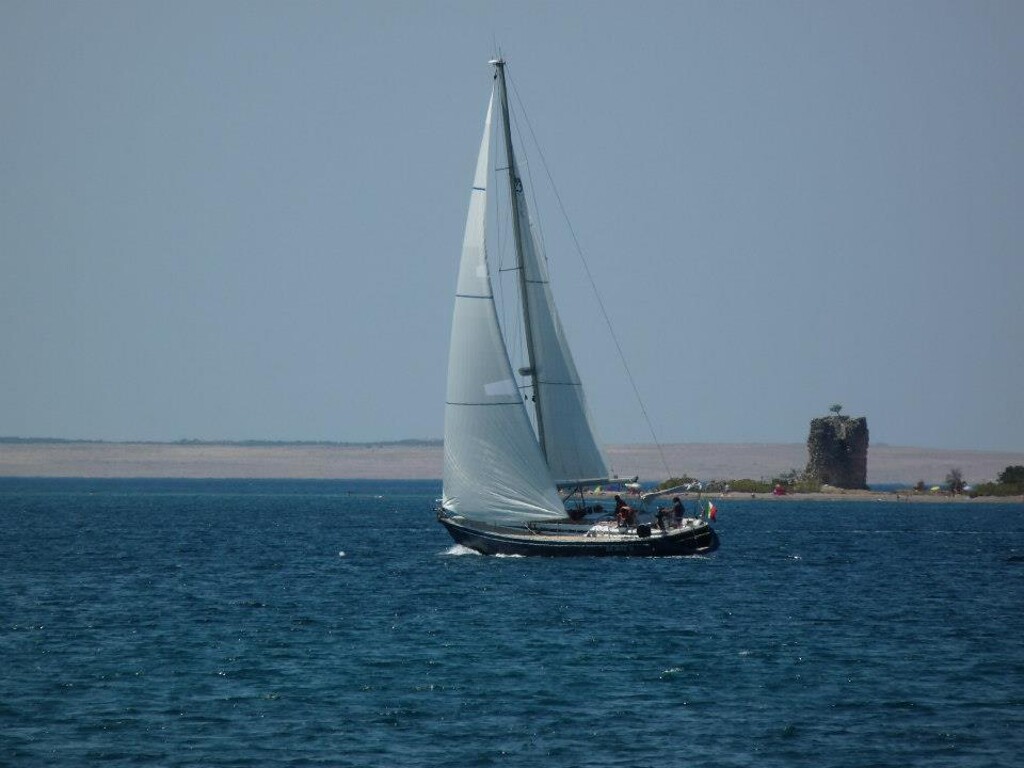 Image 13