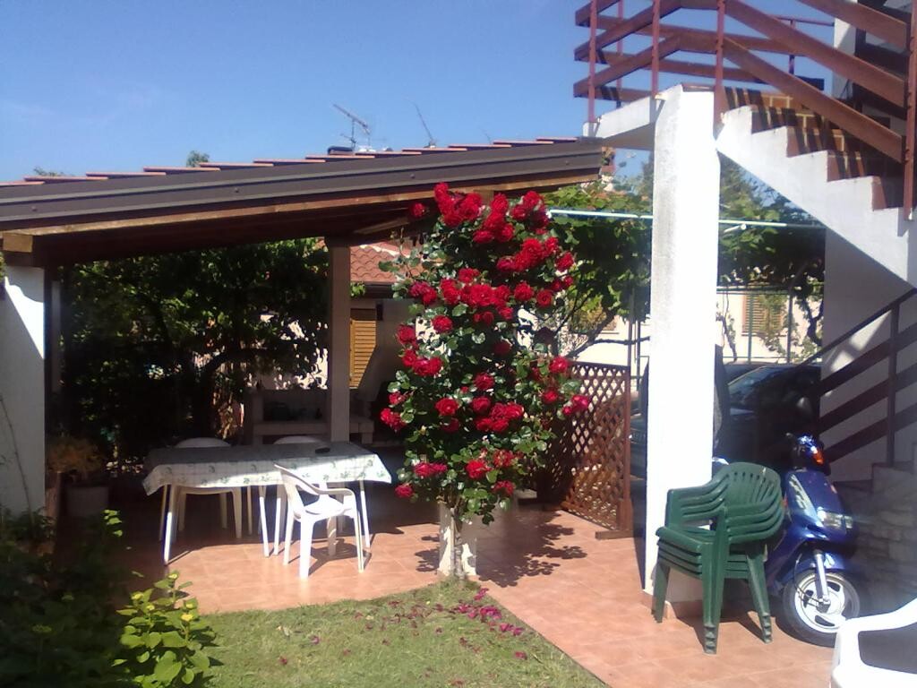 Image 3811112 - 2