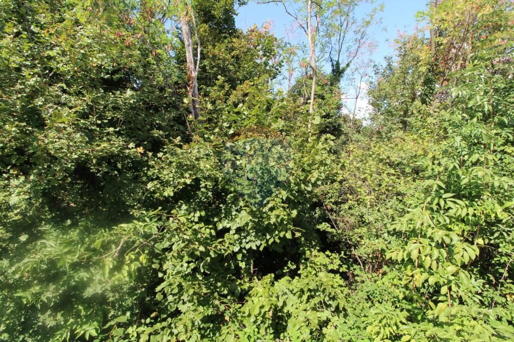 Image 5410204 - 1