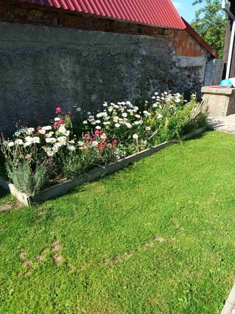 Image 6101785 - 7
