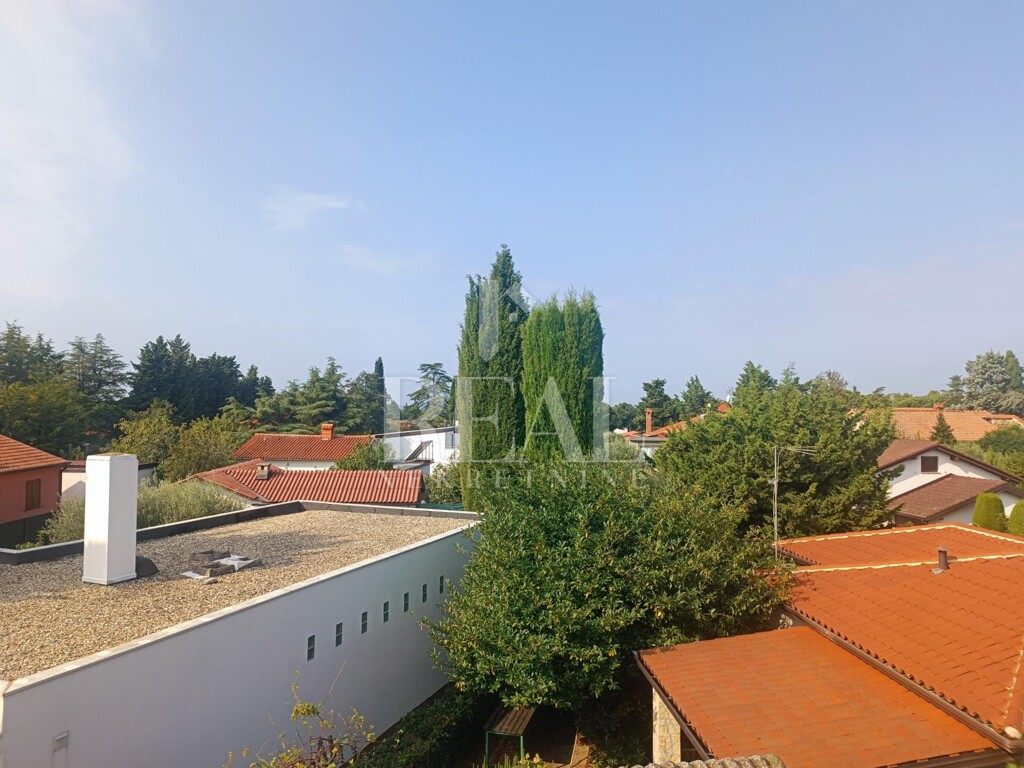 Image 13
