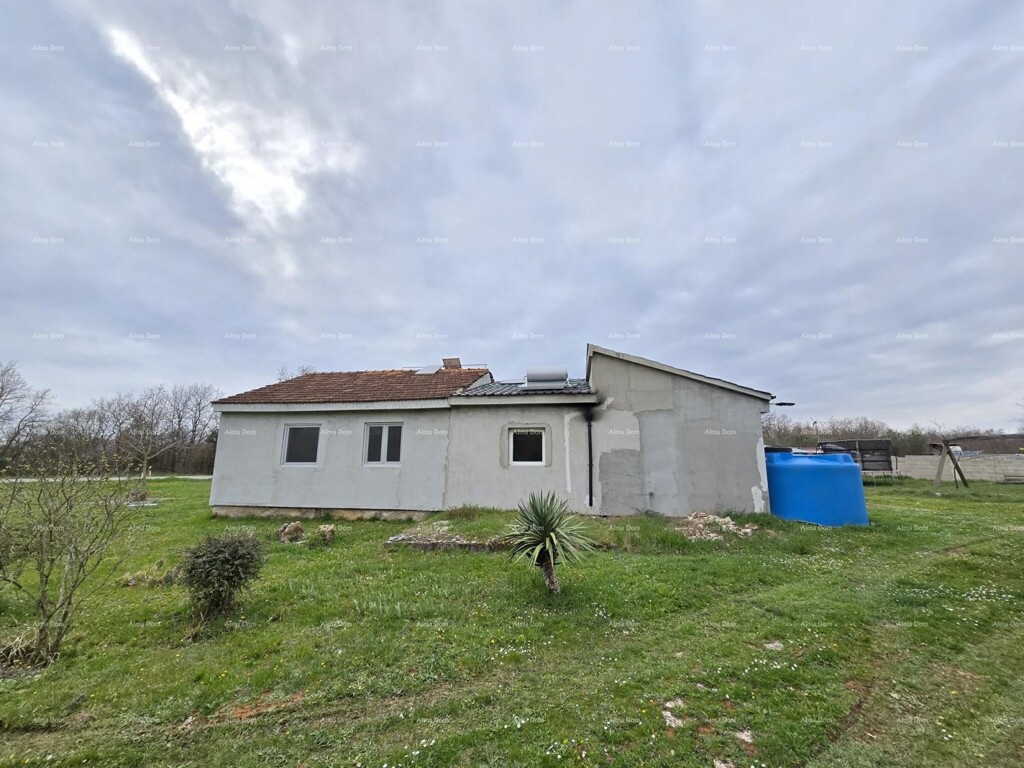 Image 13