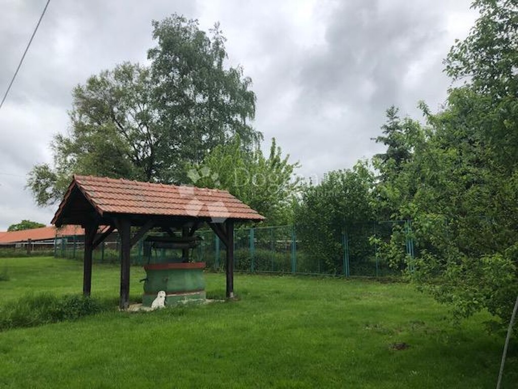 Image 23