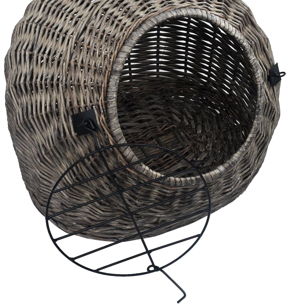 Image 6