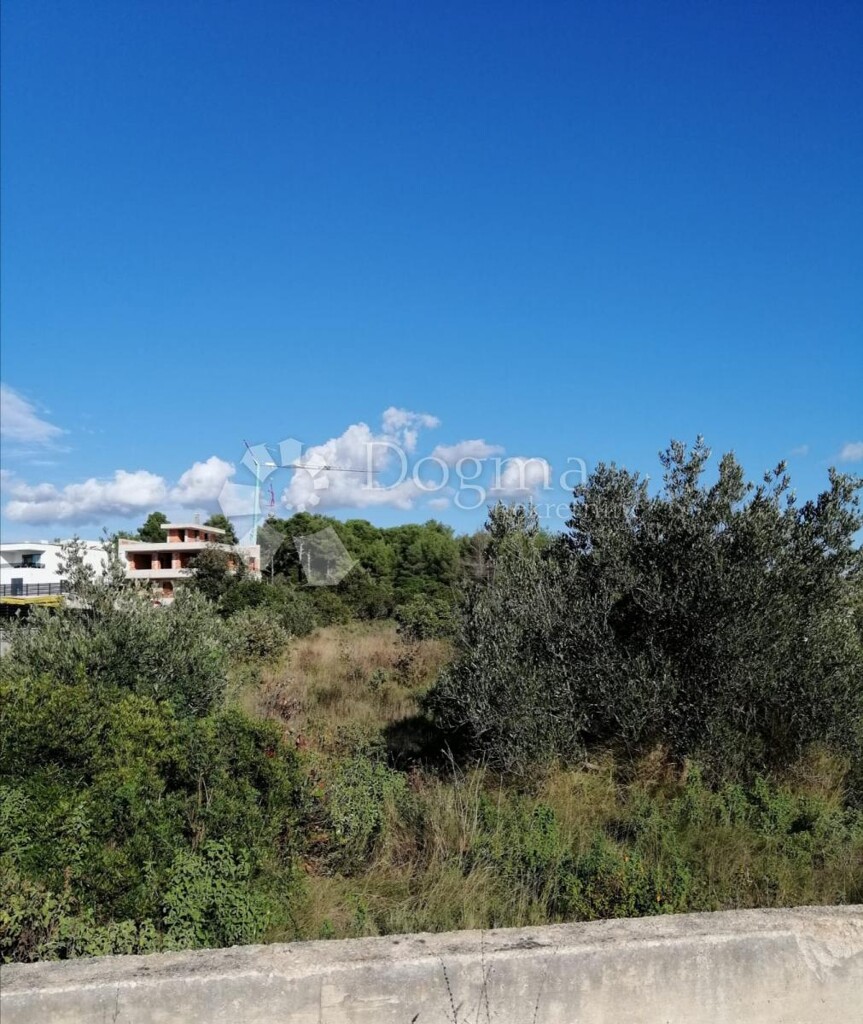 Image 20