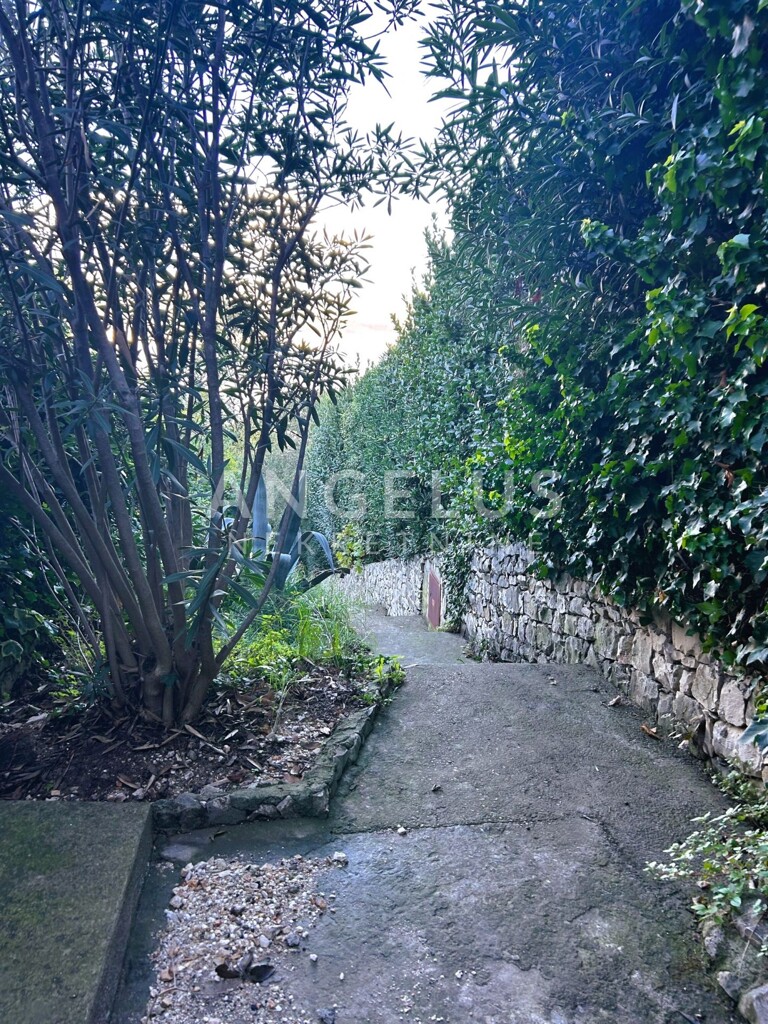 Image 6208660 - 19