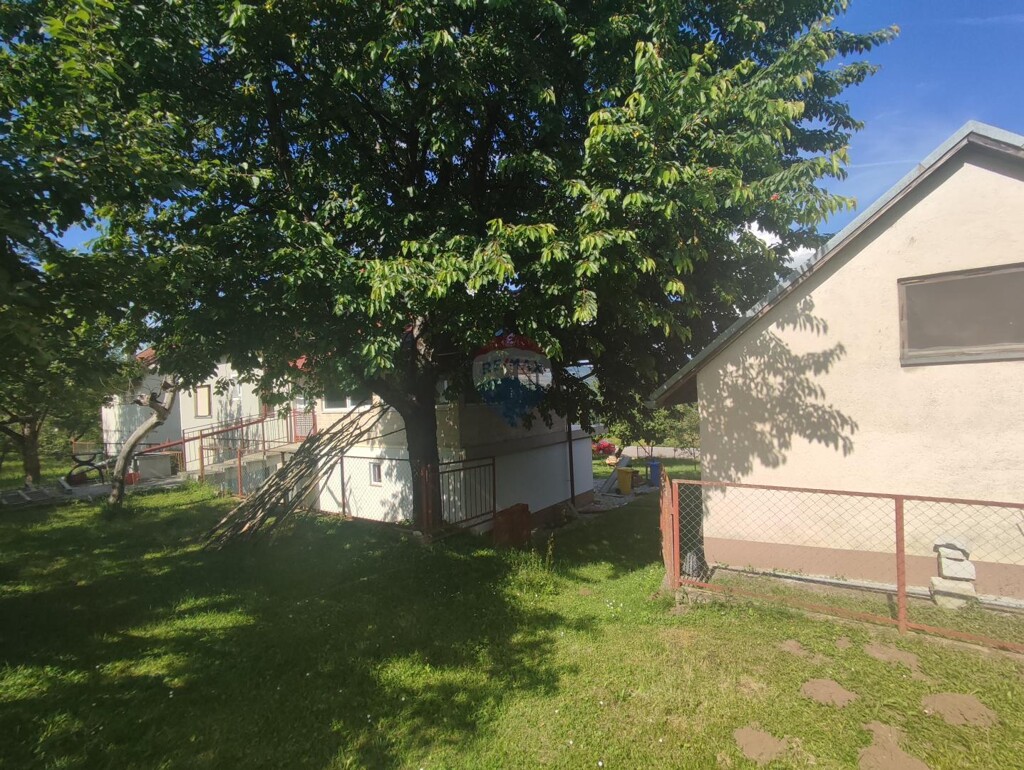 Image 13