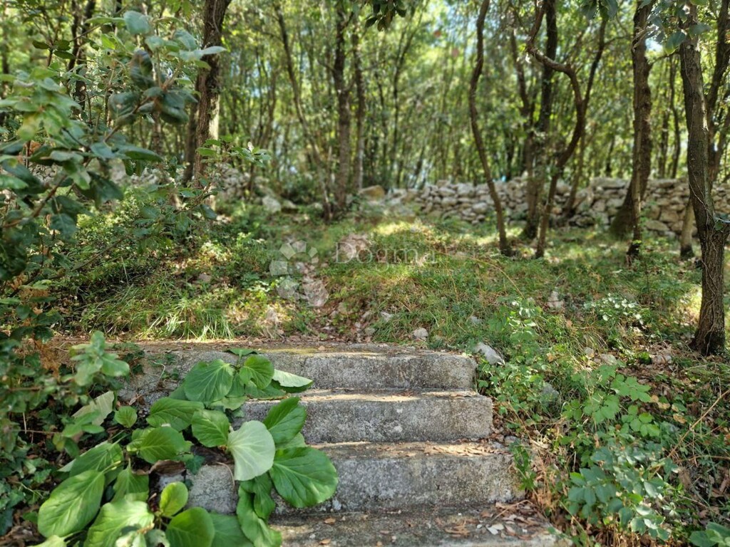Image 16
