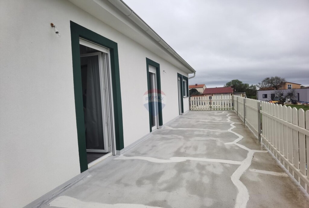 Image 19