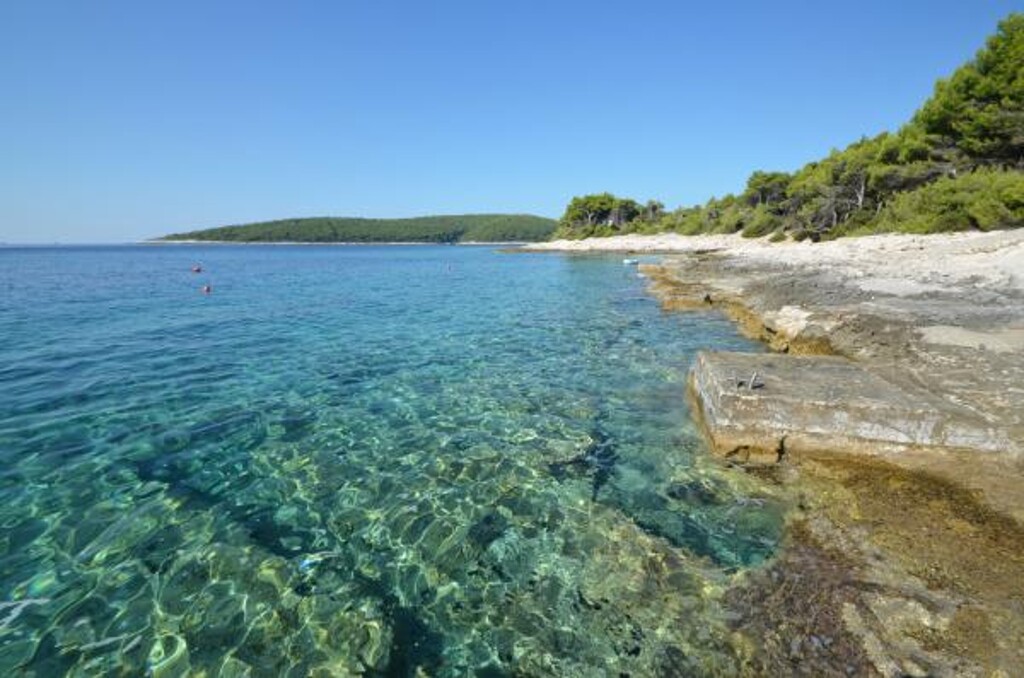 Image 3838950 - 7