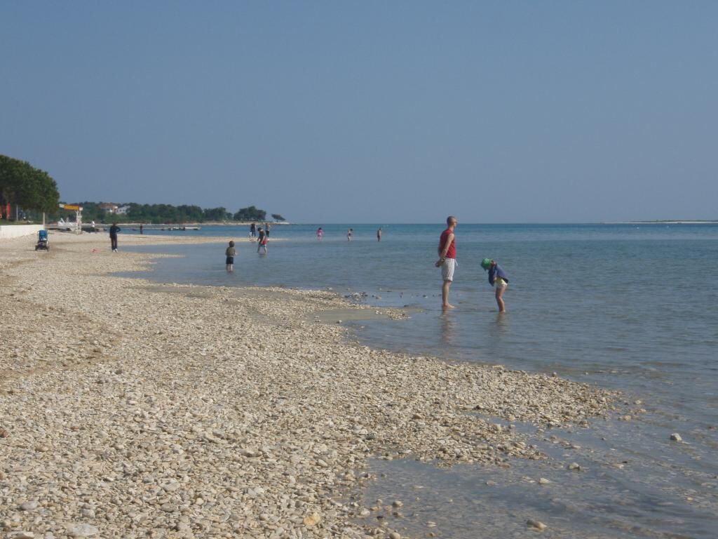 Image 3812964 - 4