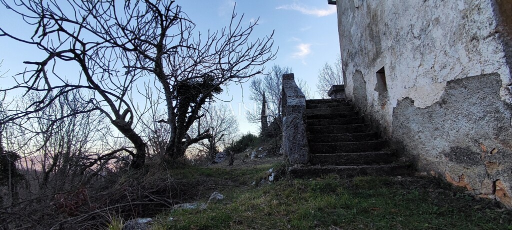 Image 17