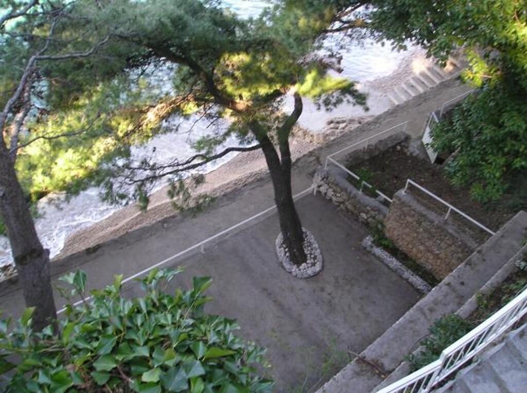 Image 3838455 - 16