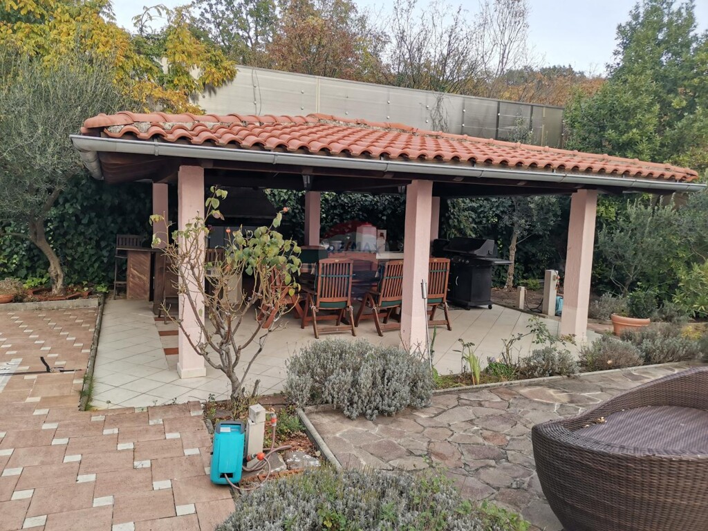 Image 13