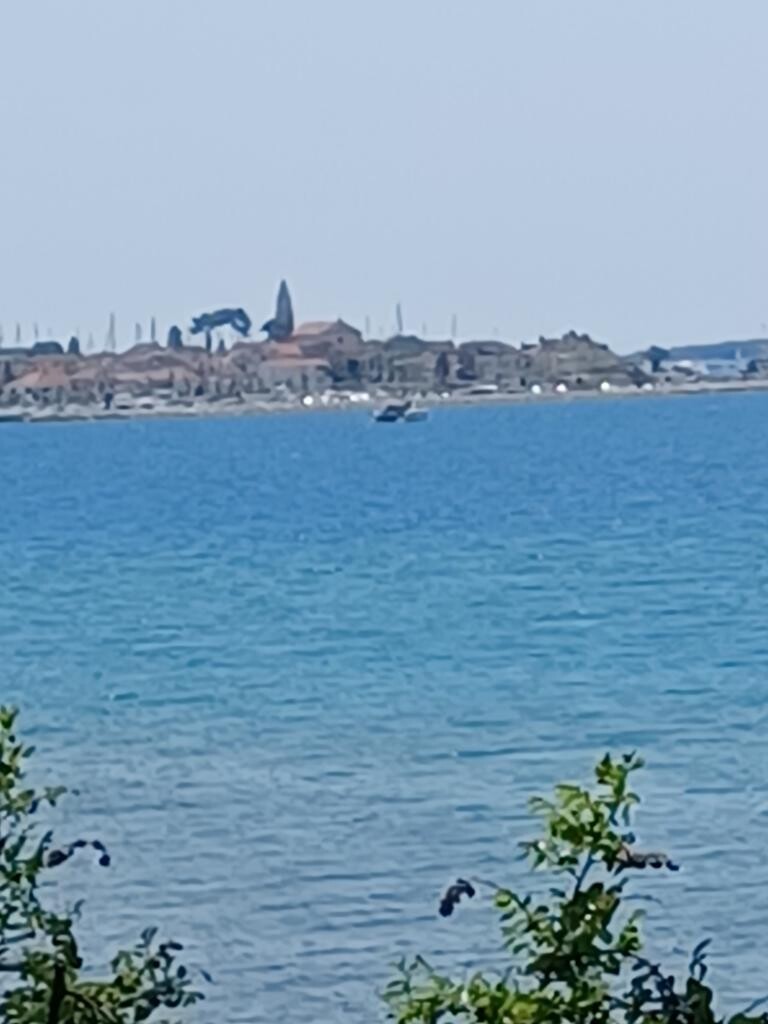 Image 14