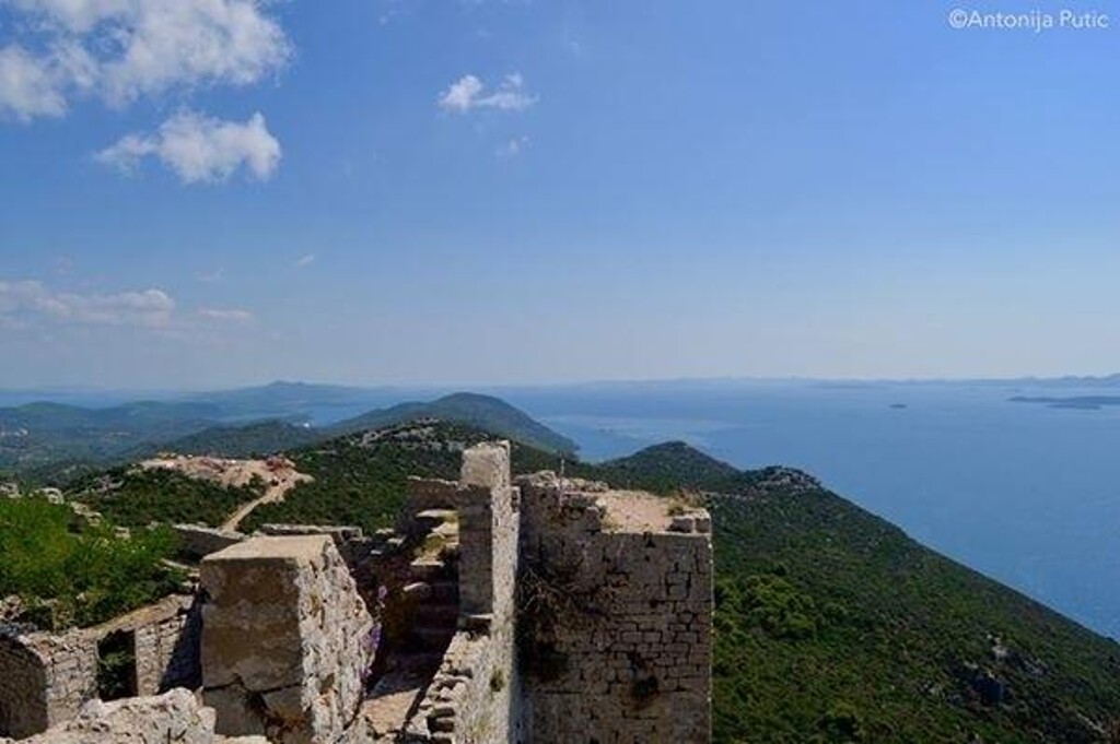 Image 3812611 - 43