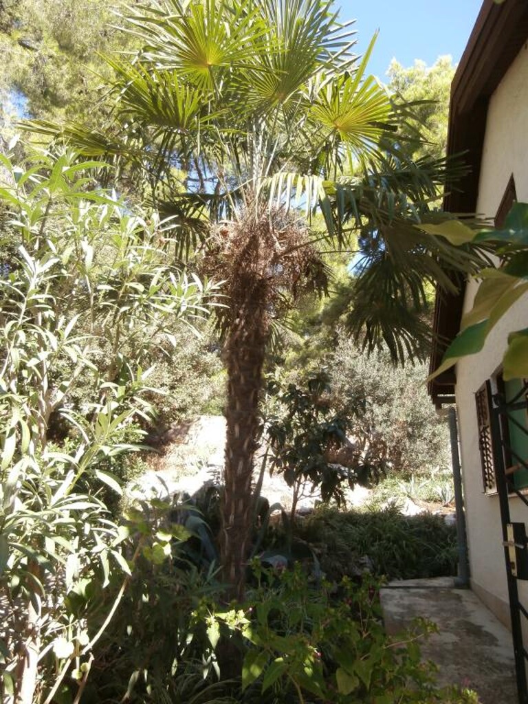 Image 3813828 - 7