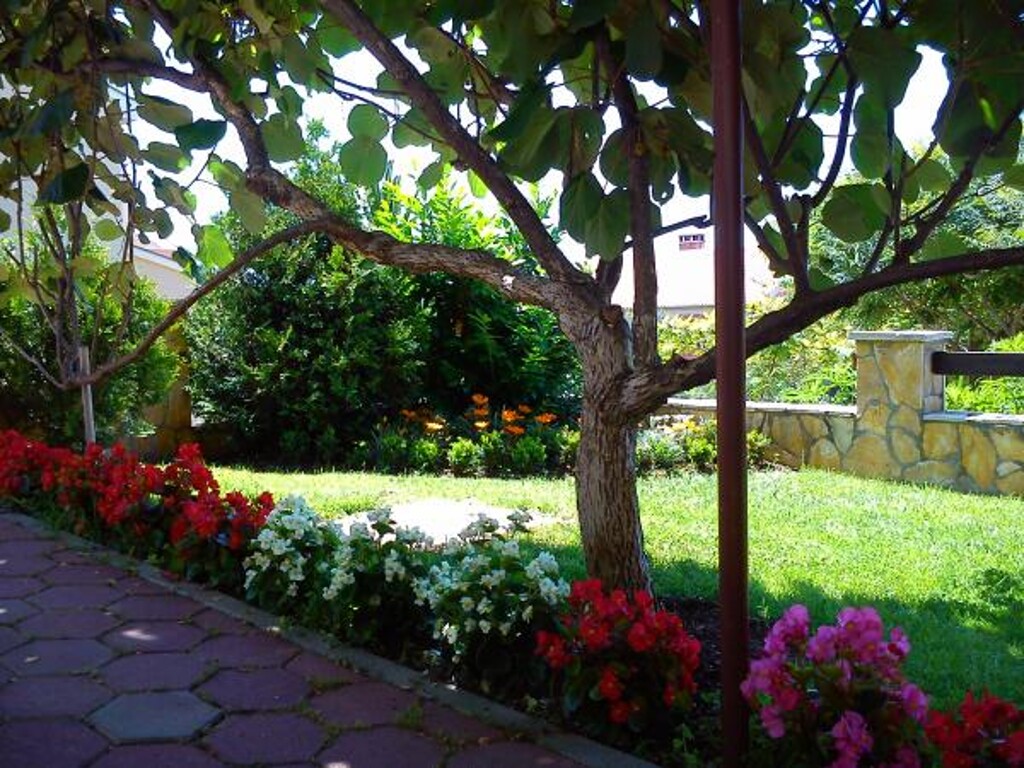 Image 3813647 - 3