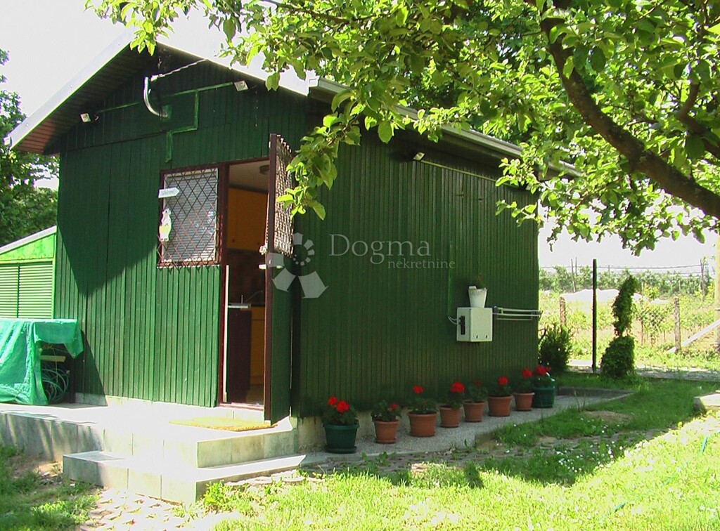 Image 20