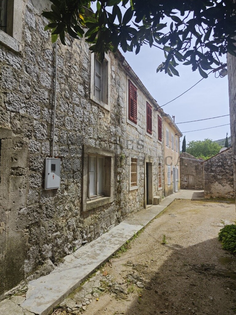 Image 13