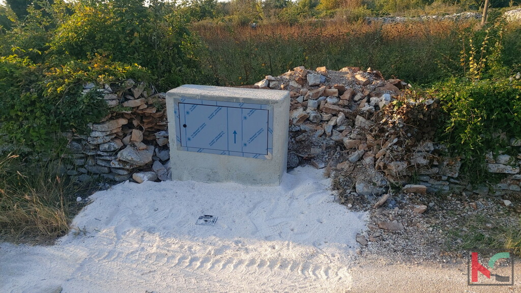 Image 10