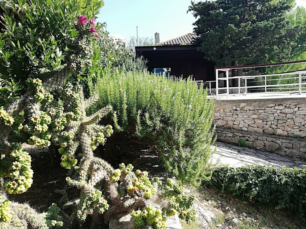 Image 10