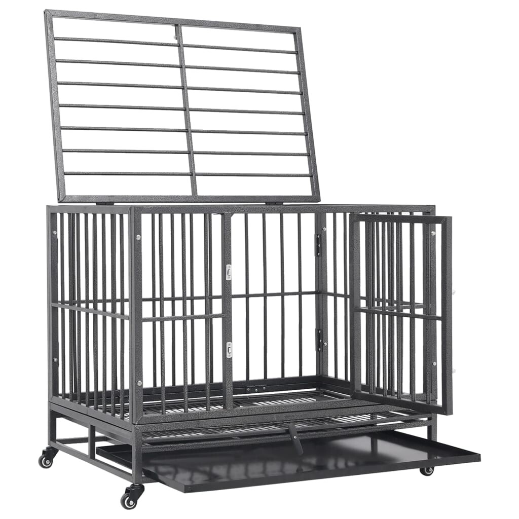 Image 4