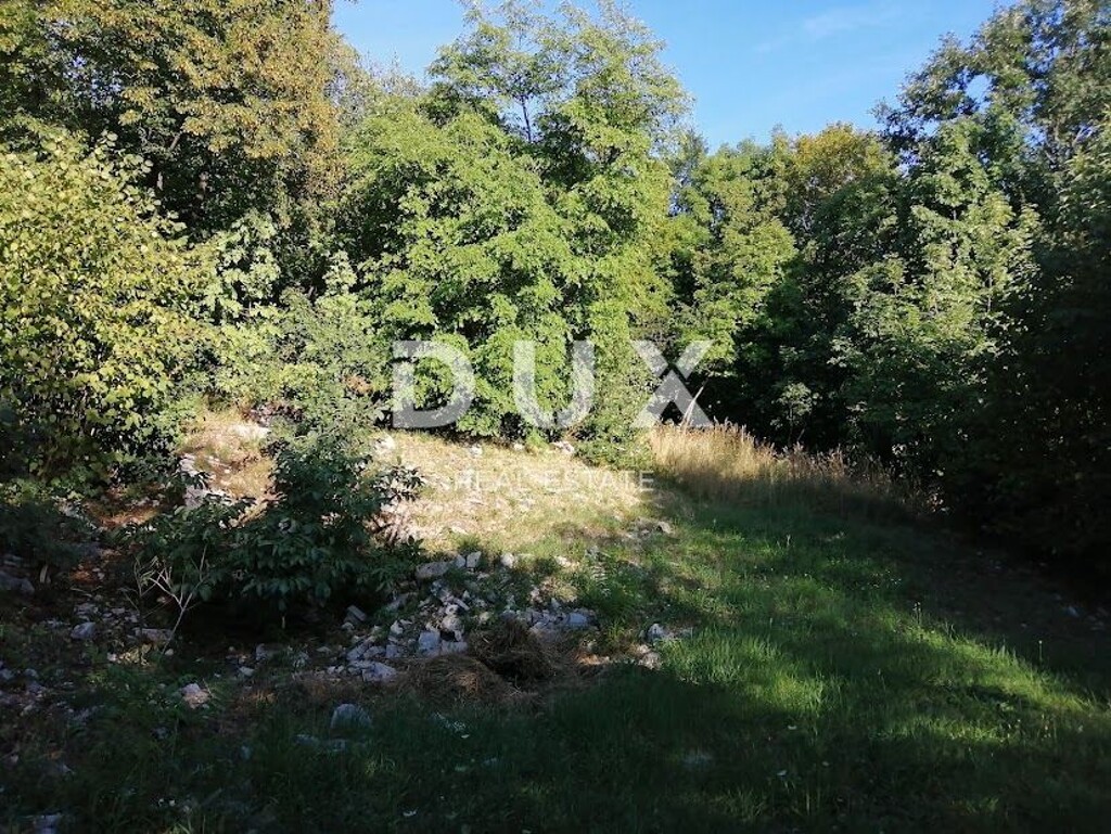 Image 18