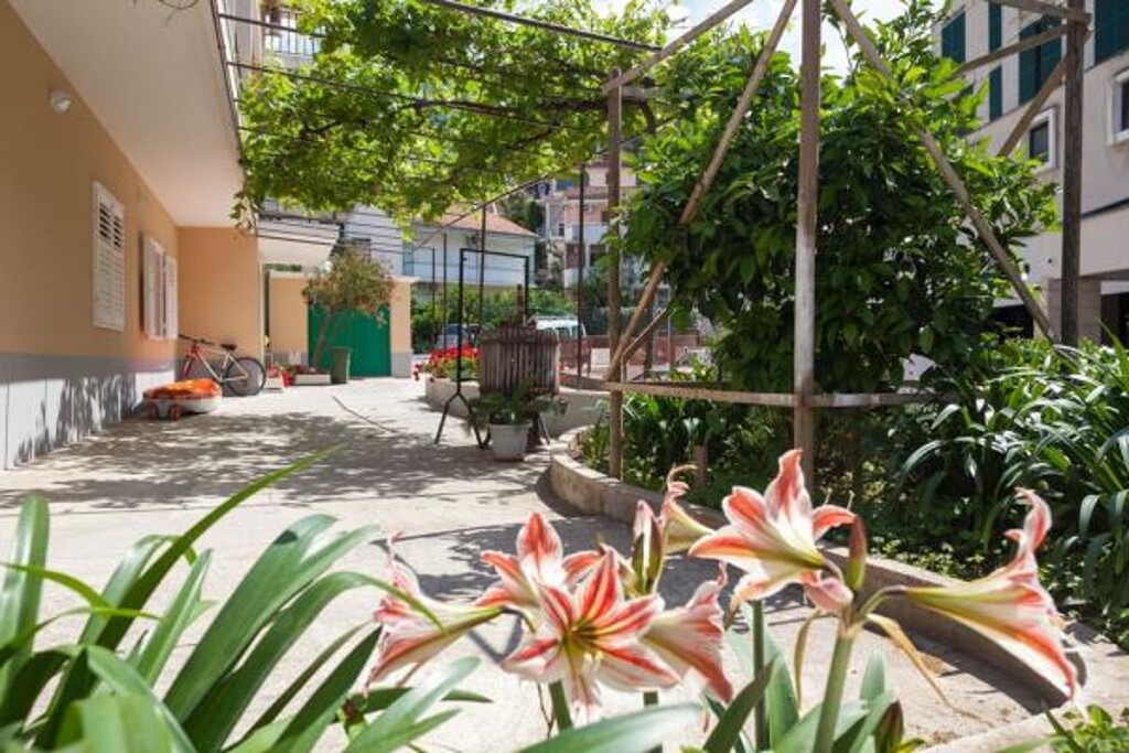 Image 3813595 - 2