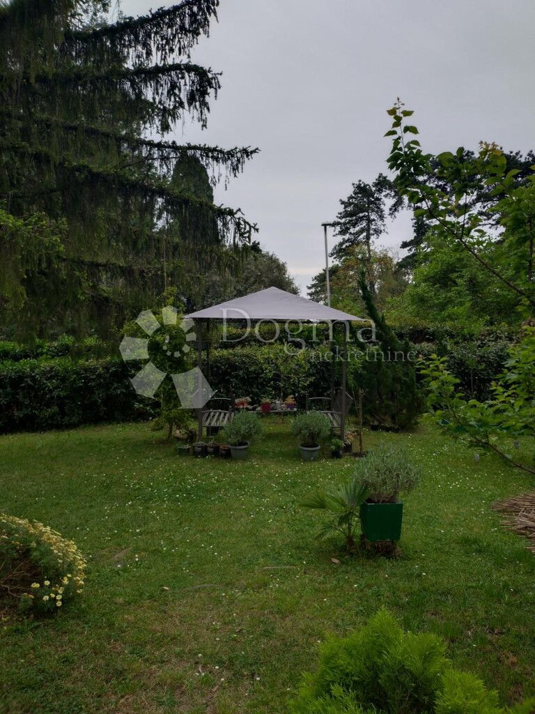 Image 18