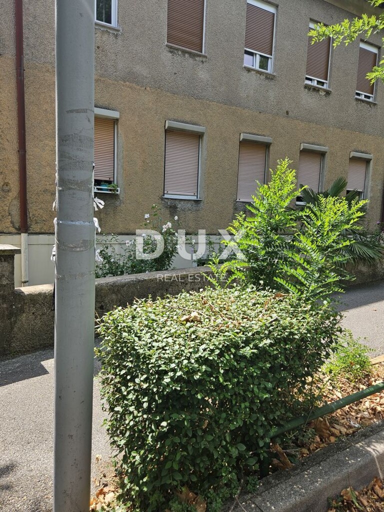 Image 25