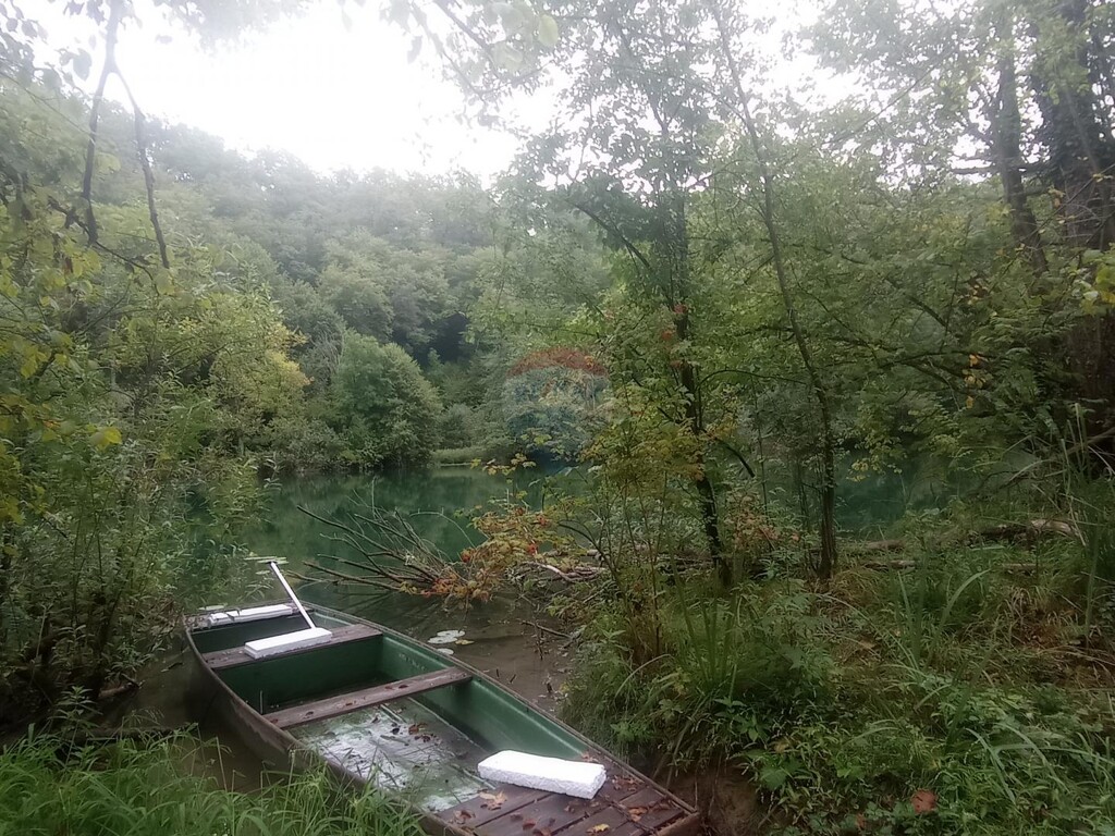 Image 5424860 - 6