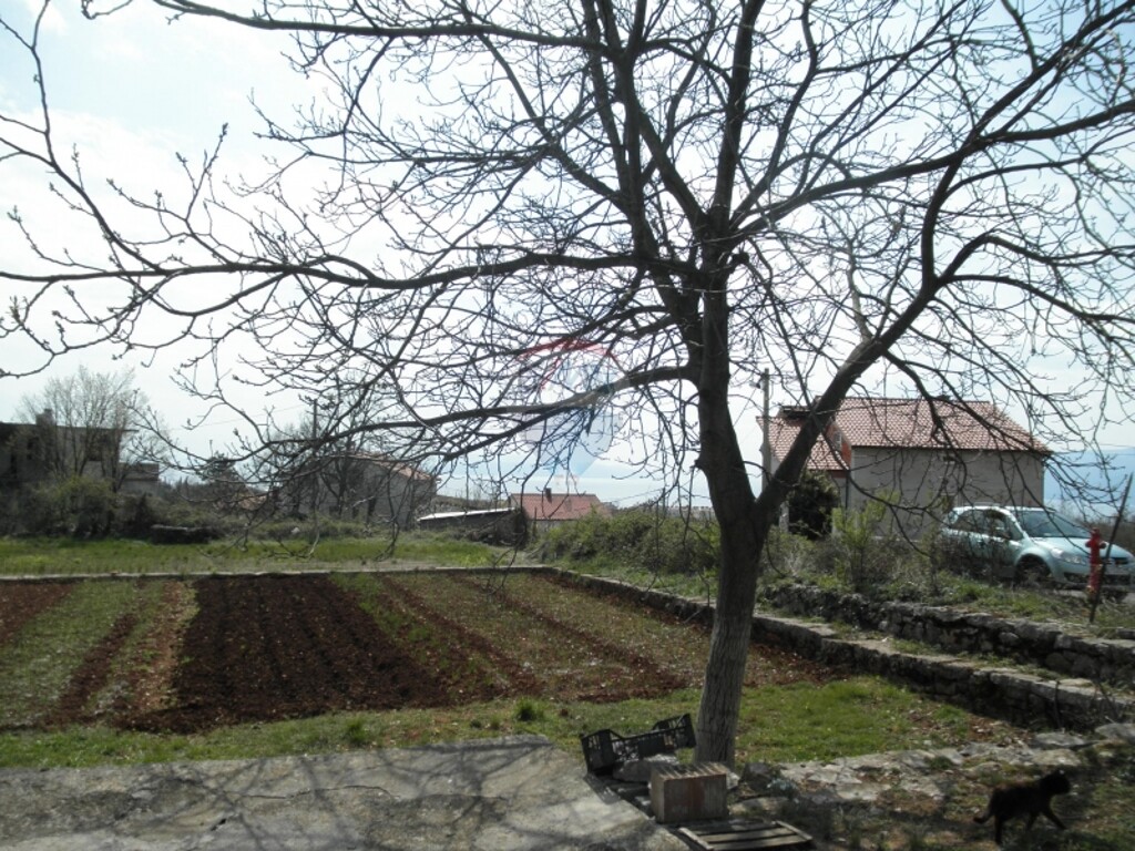Image 5411058 - 1