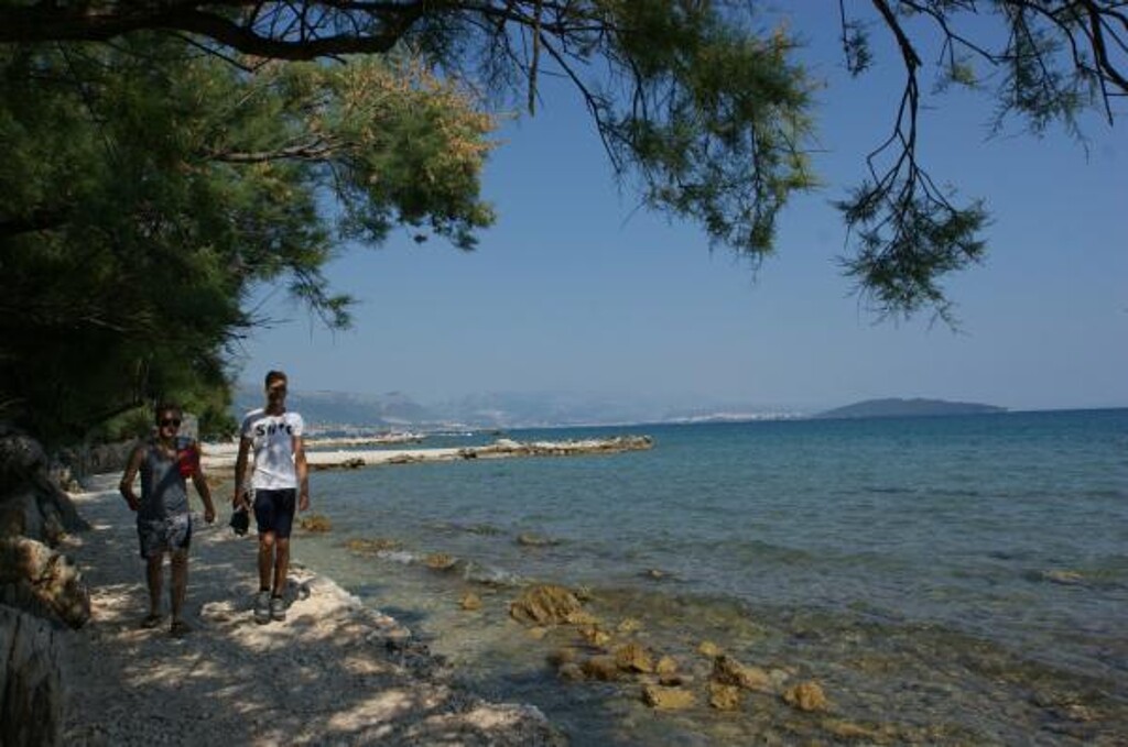 Image 3813316 - 18